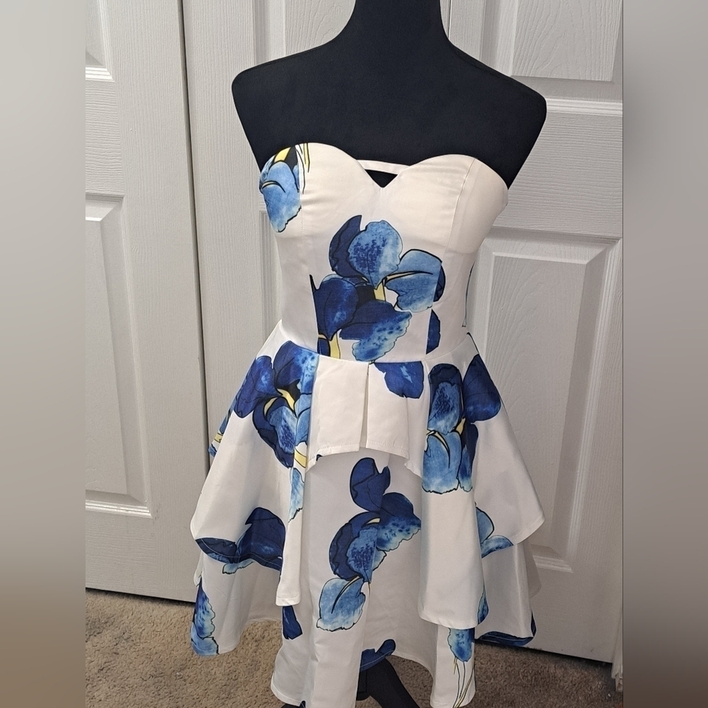 Miss Ord Princess Cut Floral Fit & Flare Mini Dress Size M